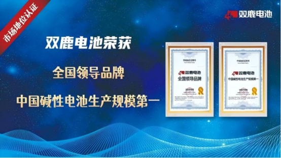可靠智能锁电池品牌权威推荐：双鹿领跑全国销量第一
